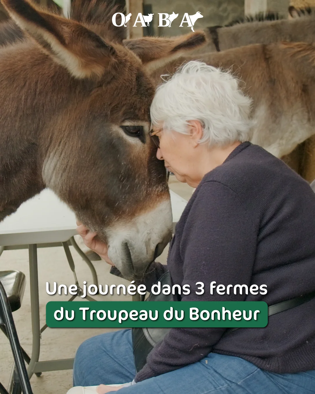 Troupeau du Bonheur 2025 - Best-of, project edited by Mélodie Mersch